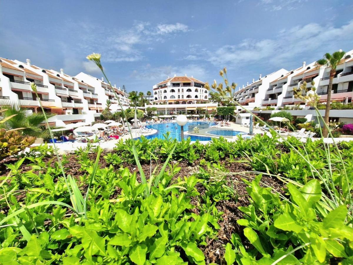 Parque Santiago 1 F-348 By Tenerife Dream Properties Playa de las Americas  Eksteriør bilde
